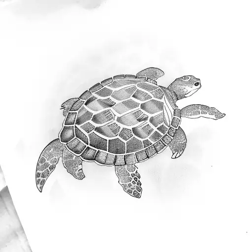 Turtle With Lotus Flower