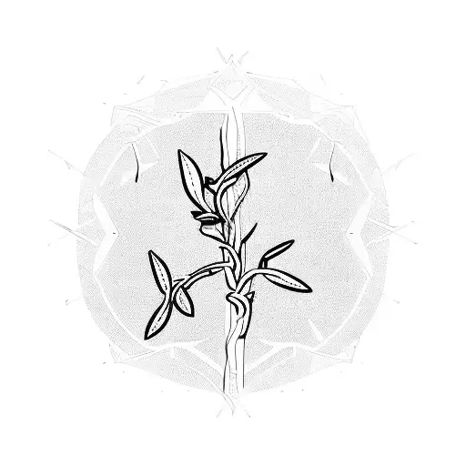 Stoicism Olive Branch