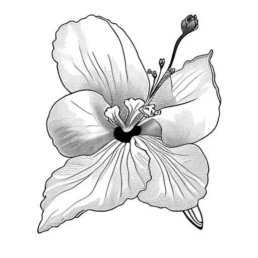 A Flower Bouquet In Black And White Abstrait With Crocus Pansy Hibiscus Lilac Clematis