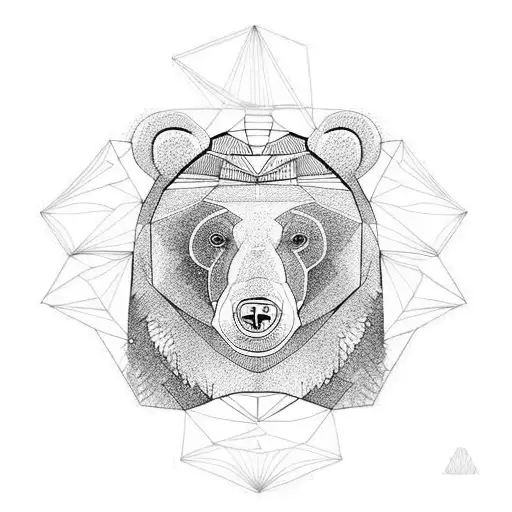Bear Geometry