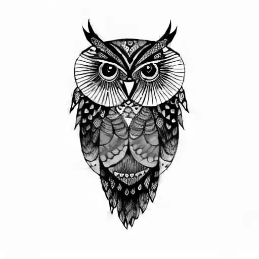 An Owl With Feathers