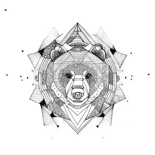 Bear Night Sky Forest