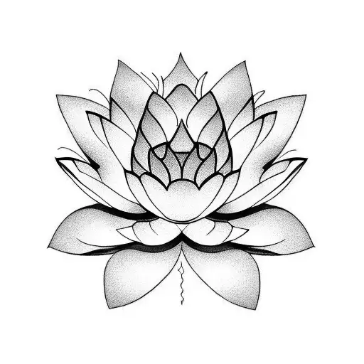 Lotus Flower
