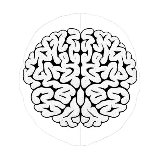 Brain With Word Magdev