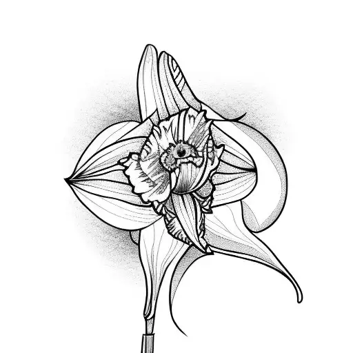 Butterfly Daffodil Sunrise Robin