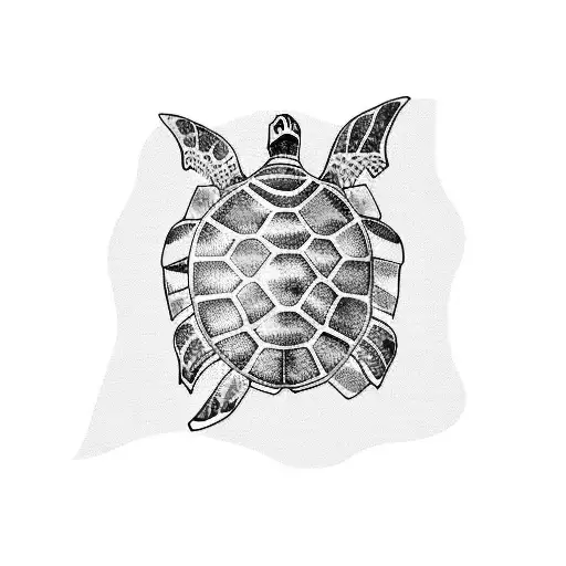 Green Sea Turtle Word Family On Its Shell