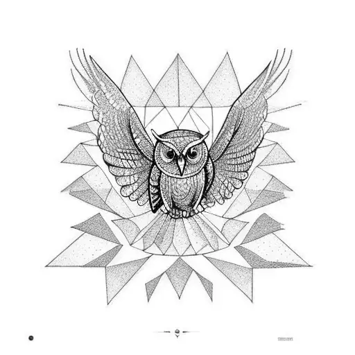 The Owl Flies