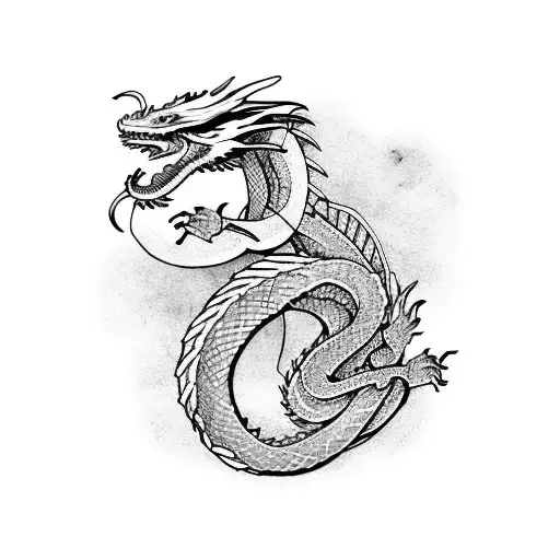 Dragon Fight With Snake