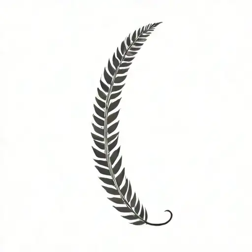 Single Fern Leaf