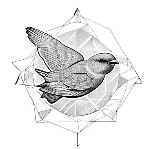 Aircraft Bird Fibonacci