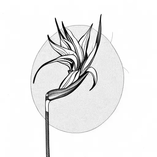 Bird Of Paradise In Black And White