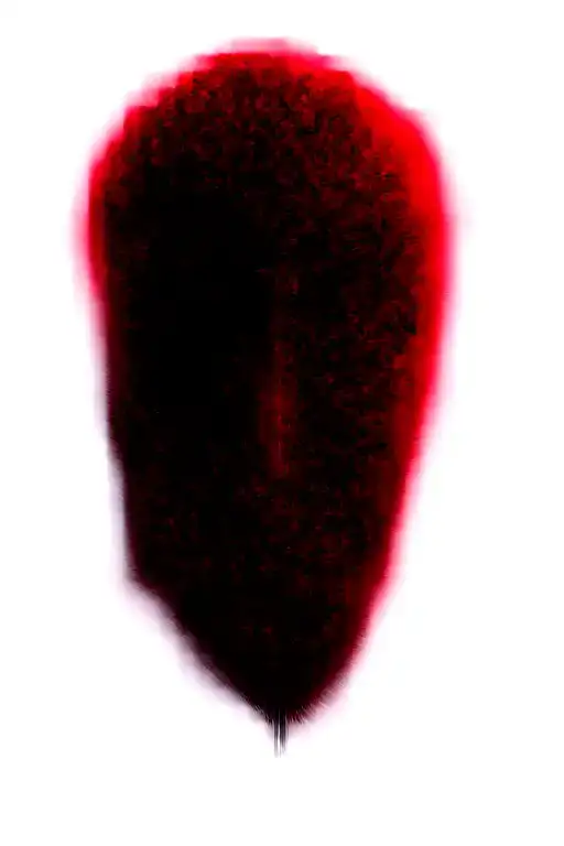 Two Rose Wrapped One Black One Red