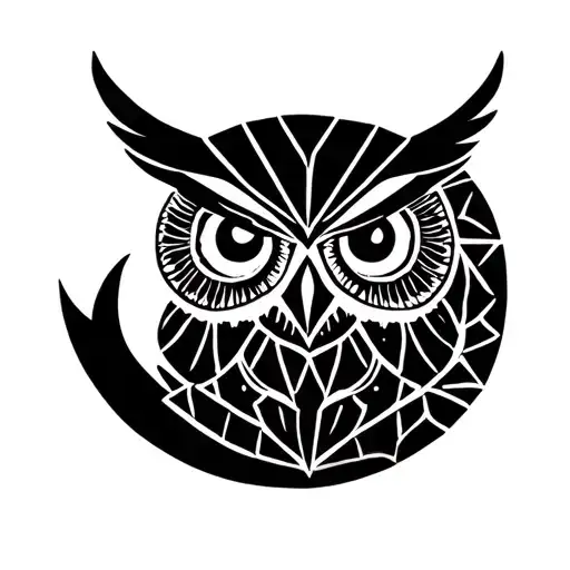 Owl And Moon