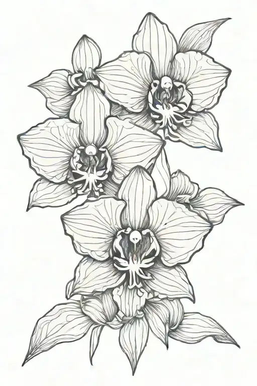 Orchid