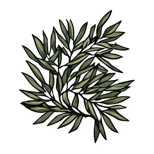 Olive Tree Branch