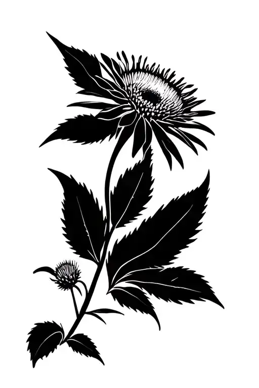 Cornflower With Wildboar