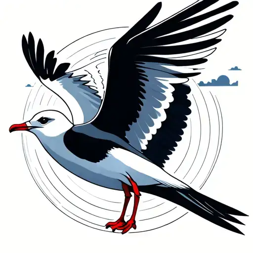 A Seagull In The Sky