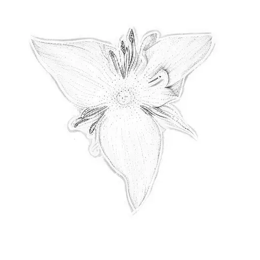 A White Flower On A Black Background