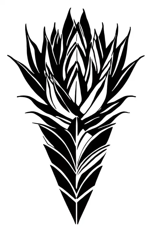 Agave Plant In A Black