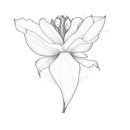 A White Flower On A Black Background