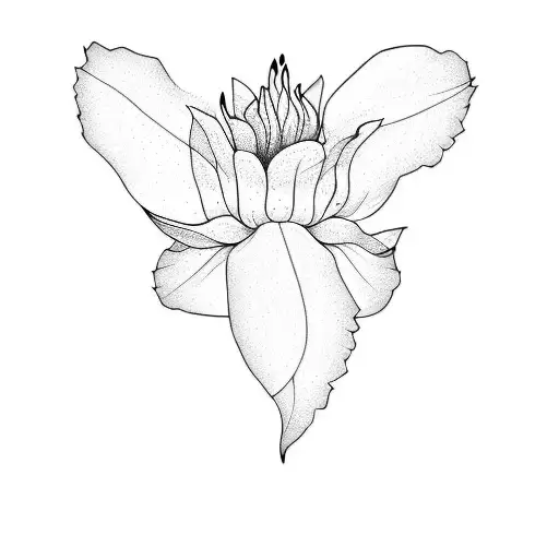 A White Flower On A Black Background