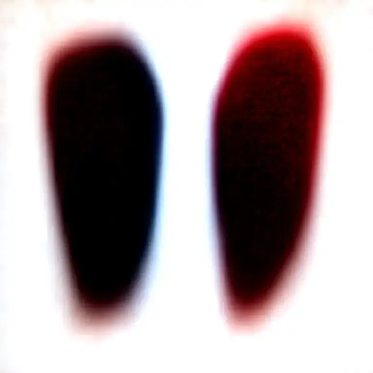 Two Rose Wrapped One Black One Red