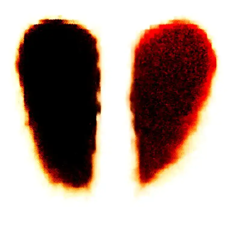 Two Rose Wrapped One Black One Red With A Skull In The Middle