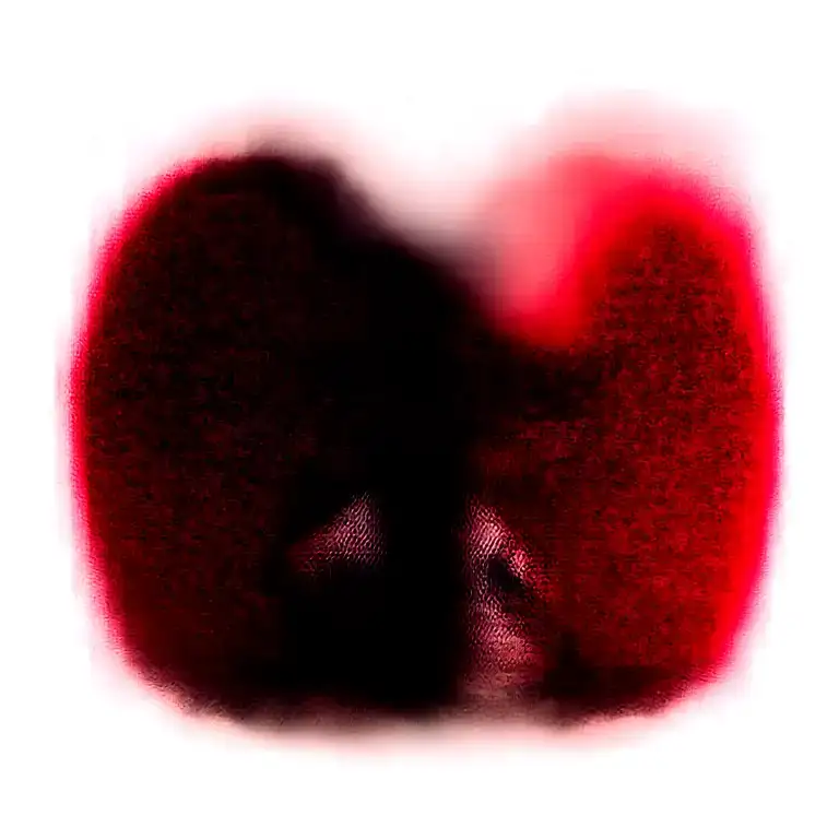 Two Rose Wrapped Around A Skull One Black One Red