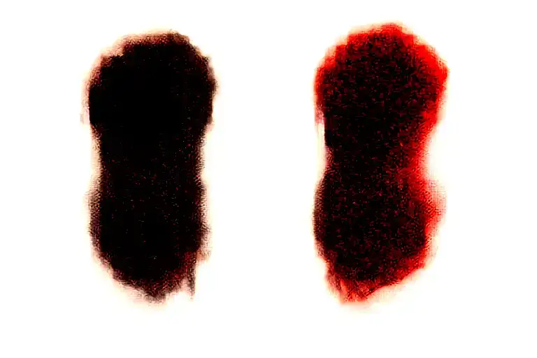 Two Rose Wrapped One Black One Red