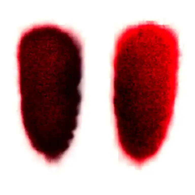 Two Rose Wrapped One Black One Red