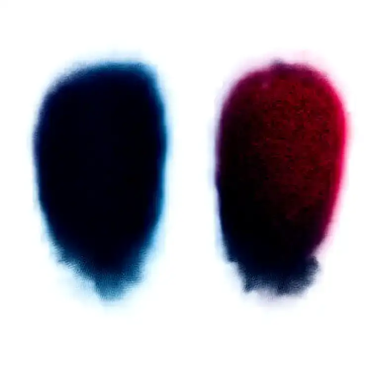 Two Rose Wrapped One Black One Red