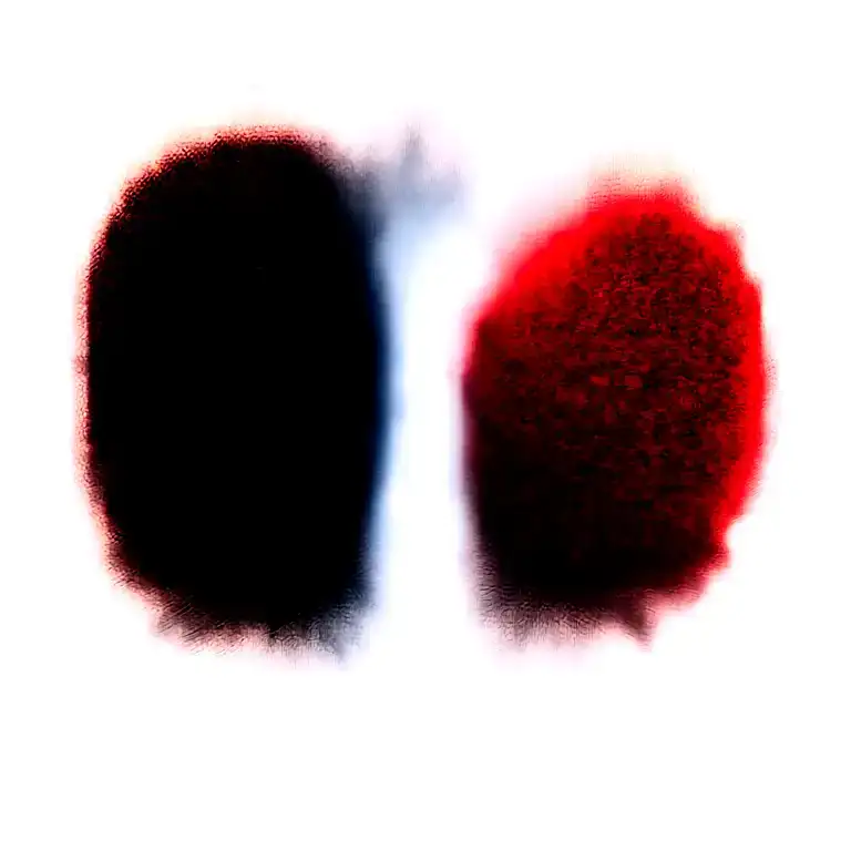 Two Rose Wrapped One Black One Red