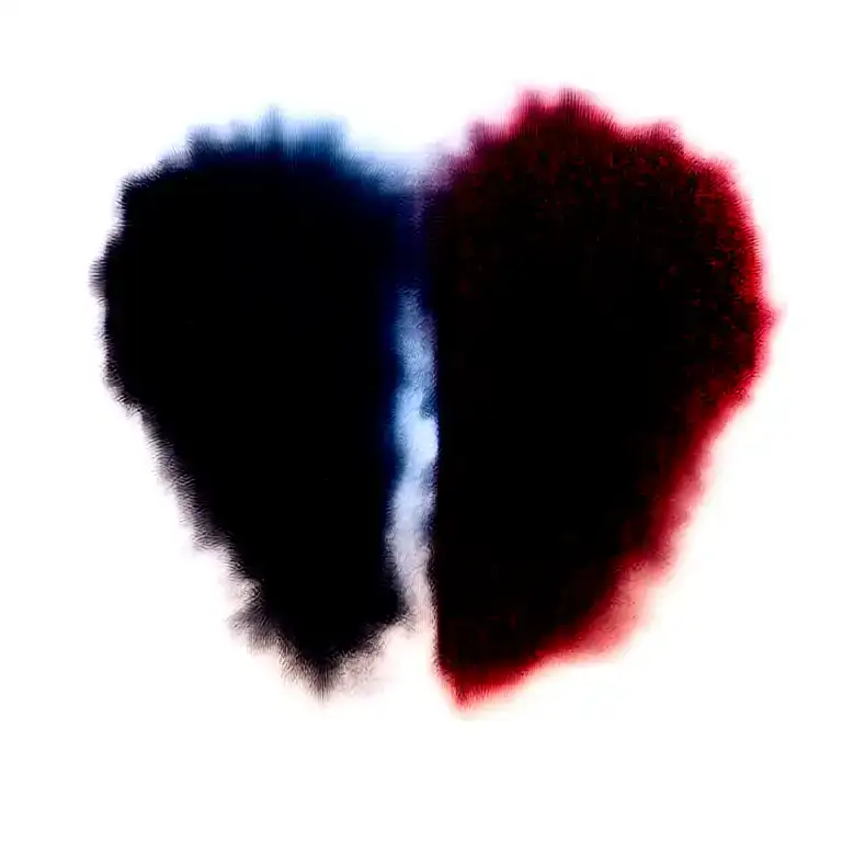 Two Lilys Wrapped One Black One Red