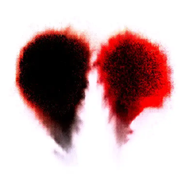 Two Lilys Wrapped One Black One Red Spider Lily