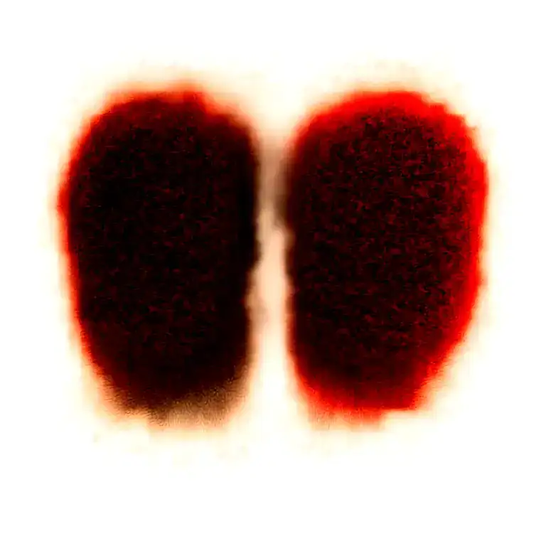 Two Rose Wrapped One Black One Red