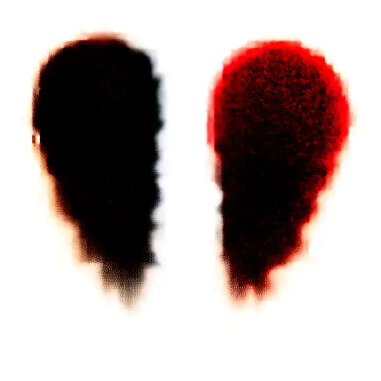 Two Rose Wrapped One Black One Red