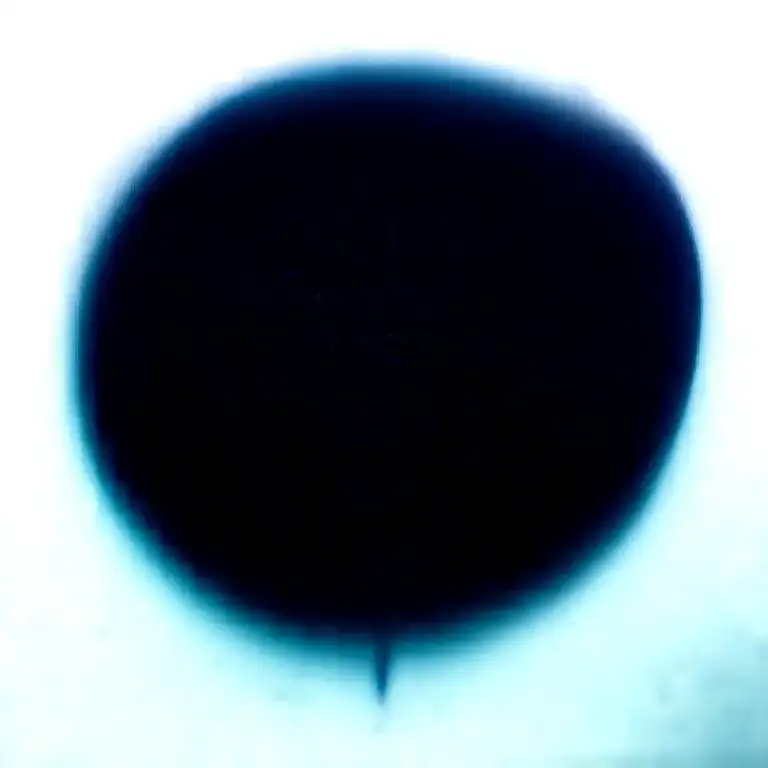 Two Rose Wrapped One Black One Red Circle In Background