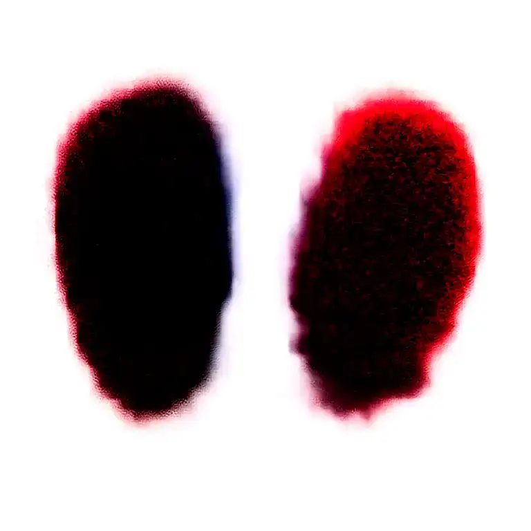 Two Rose Wrapped One Black One Red