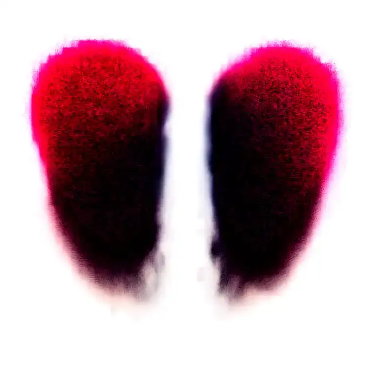 Two Rose Wrapped One Black One Red