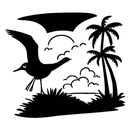 Screaming Seagull Palm Trees Sunset