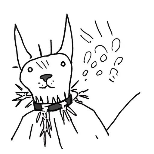 Dog With Spiky Collar Bone Tearing Through Skin