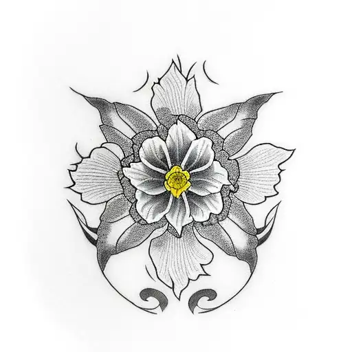 Daffodil Japanese Rising Sun