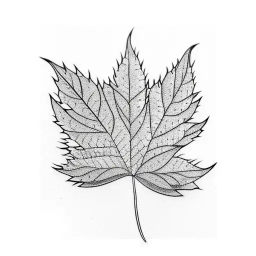 Thin Leaf