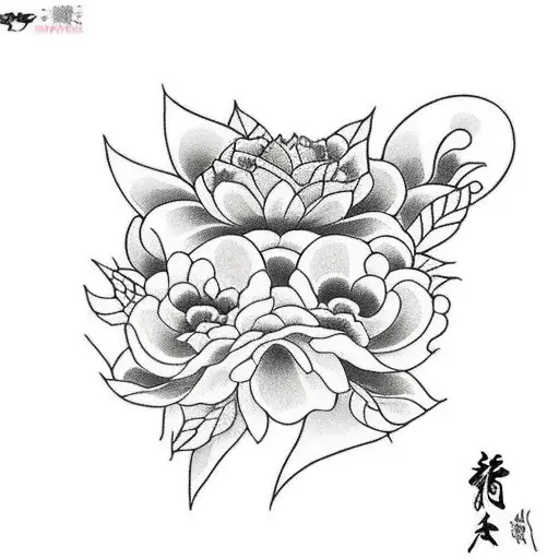 Flower With Leaves And Cat