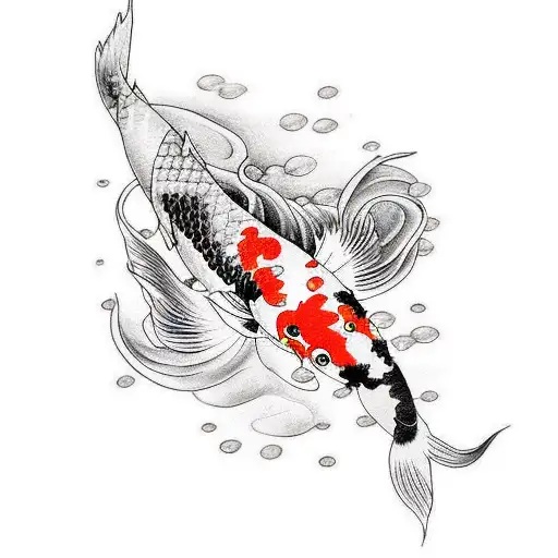 Koi Fish Black And White
