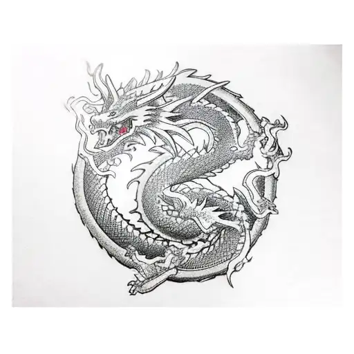 Dragon Reading Books