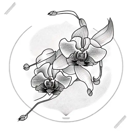 Orchid With Heartbeat