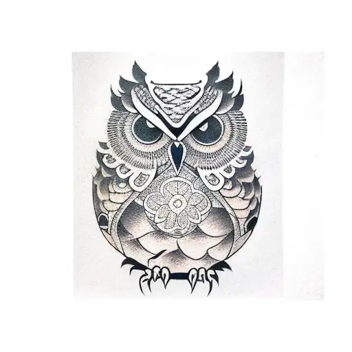 Owl