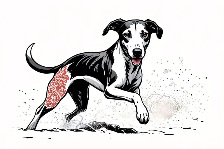 Black And White Greyhound Being Chased By A Labrador