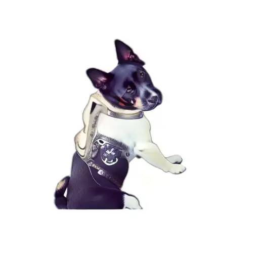 A Dog Wearing A Steel Armor